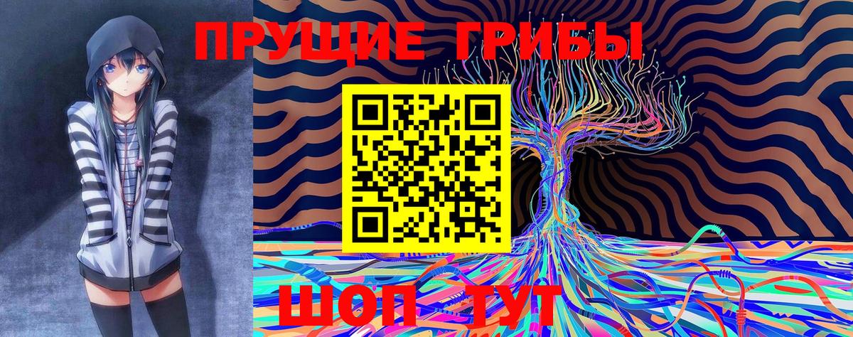 Экстази  A PVP СК кристаллы  Бошки Шишки  Верхний Уфалей  НБОМе  Вход с VPN  МАРИХУАНА  LSD-25  Меф МЯУ МЯУ кристаллы  ГАШ 