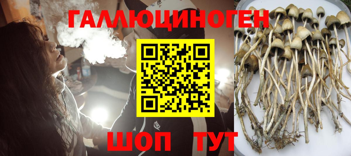 Верхний Уфалей  Галлюциногенные грибы мухоморы  Вход с VPN 